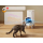 PetKit Yumshare SOLO 2 inteligentny dozownik karmy - 1606085 - zdjęcie 3